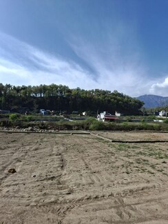 Plot For Sale in Paundha
