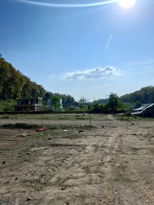 Plot Area in  Plot at Paundha – for Sale