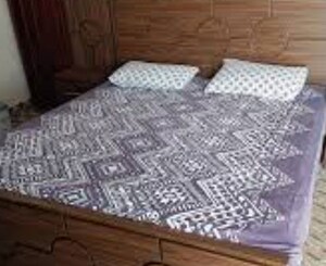  Pg For Rent in Vineet Khand