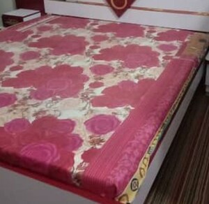  Pg For Rent in Gomti Nagar