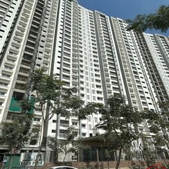 1 BHK Apartment For Rent in Eden Park At The Prestige City