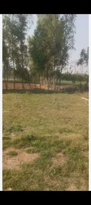  Plot For Sale in Sector 80