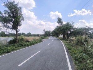 Plot Area in  Land at Pataudi – for Sale