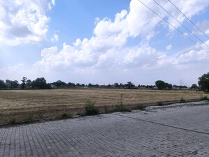 Plot Area in  Land at Pataudi – for Sale