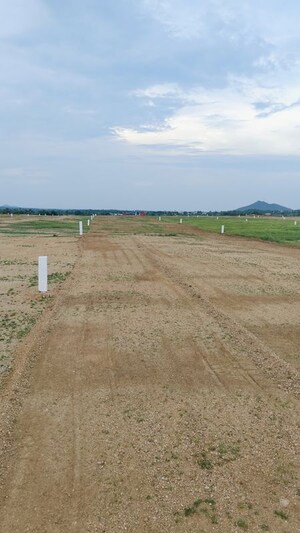 Plot Area in  Land at Kongara Kalan – for Sale