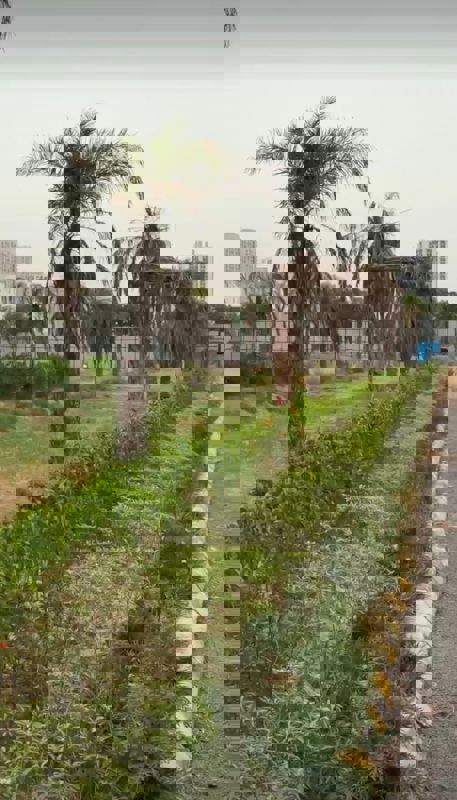 Studio  725 Sq.Ft. Apartment in Galactic City