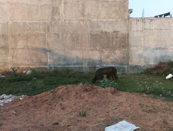 Plot For Sale in Vrindavan Yojna