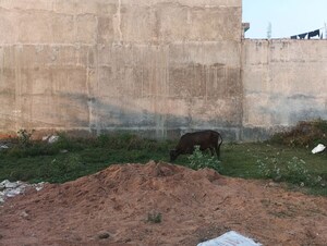 Plot Area in  Plot at Vrindavan Yojna – for Sale