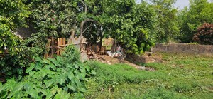  Plot – Exterior View View at Dayalpur Daulatpur - for Sale