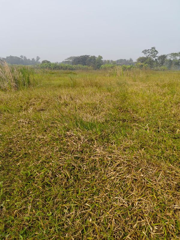 Plot For Sale in Bishnupur