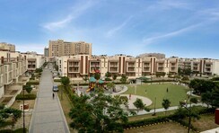 2 BHK Apartment For Rent in Orchid Island