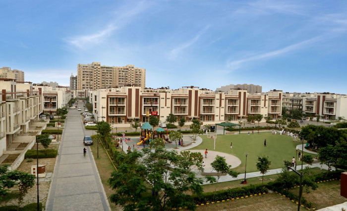 2 BHK Apartment For Rent in Orchid Island