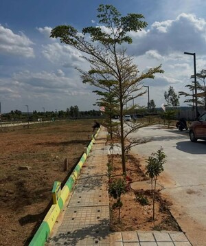 Plot Area in  Plot at Hoskote – for Sale