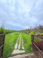 135 Sq.Ft. Plot in Biharigarh