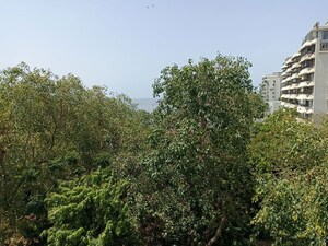 3 BHK Apartment For Sale in Colaba