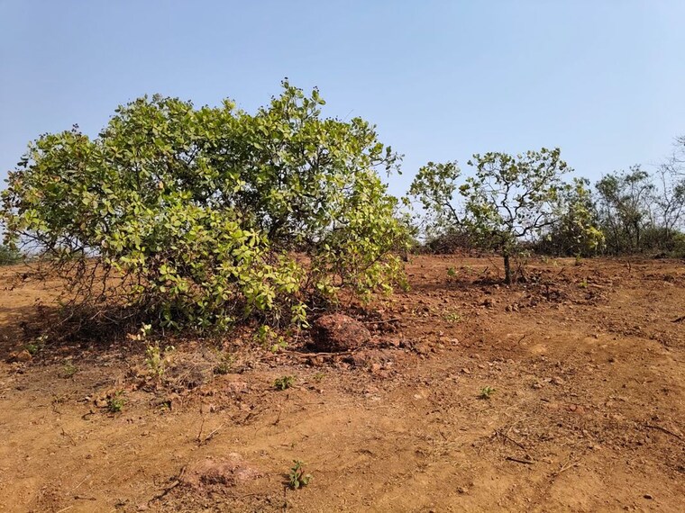 undefined, alpha 1 greater noida  742 Sq.Ft. Plot In Alpha 1 Greater Noida Greater Noida 10254897