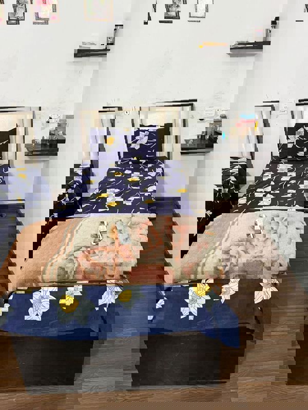 2 BHK 1700 Sq.Ft. Apartment in Unitech Espace Nirvana Country