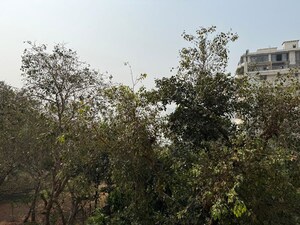 Plot Area in 2 BHK Apartment at Colaba – for Sale