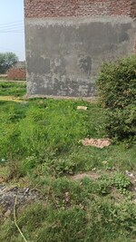 100 Sq.Yd. Plot in Patiala Road
