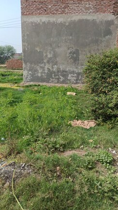 Plot For Sale in Patiala Road