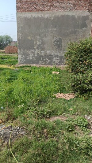  Plot For Sale in Patiala Road
