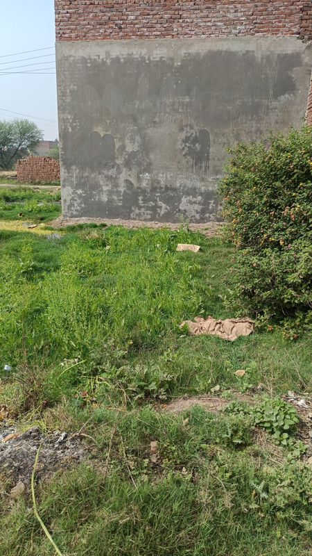 Plot For Sale in Patiala Road