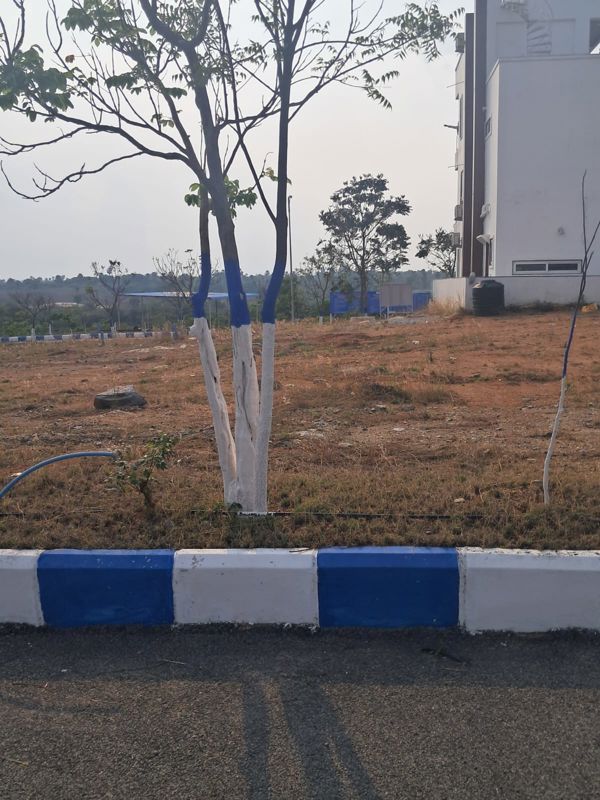 Plot For Sale in YBR Avasa Hills
