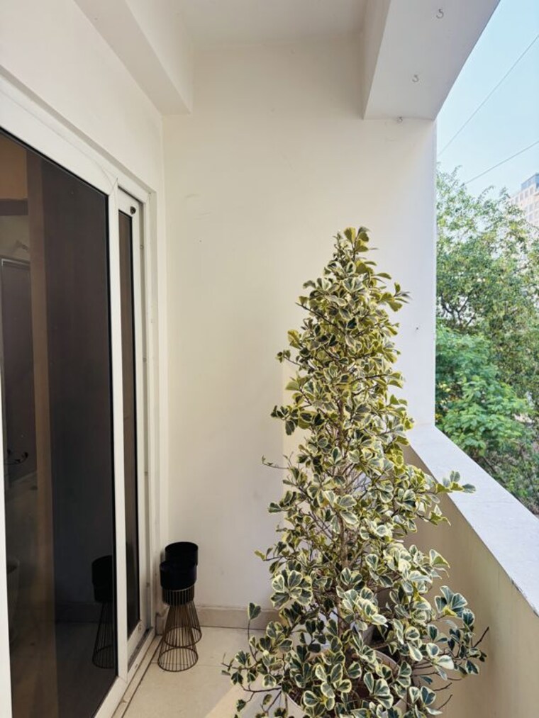 Balcony, gachibowli Commercial Office Space 1565 Sq.Ft. In Gachibowli Hyderabad 10255605