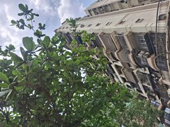 3 BHK Apartment For Rent in Hari Complex