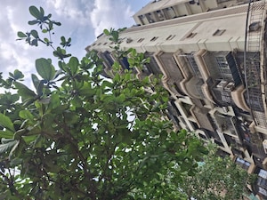 3 BHK Apartment For Rent in Hari Complex, Ghansoli