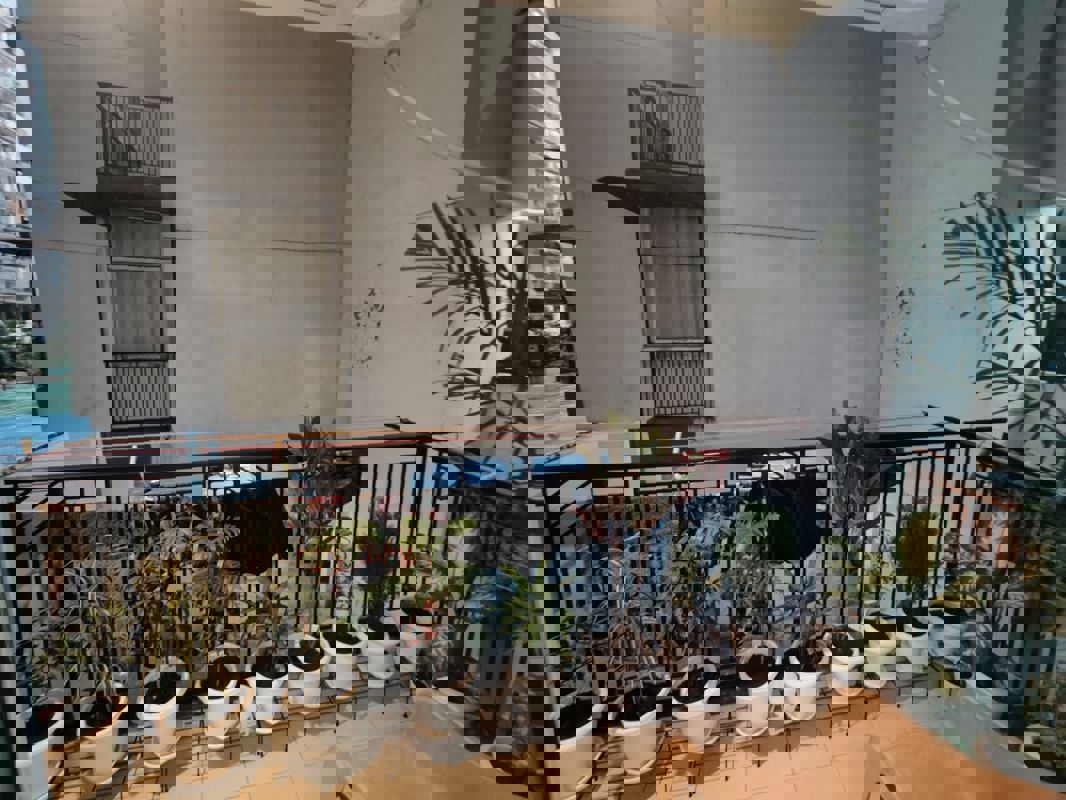 2 BHK + Pooja Room 1150 Sq.Ft. Apartment in ABCZ East Sapphire