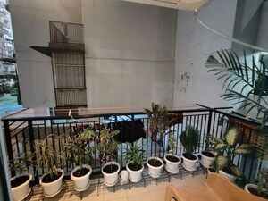 2 BHK Apartment For Rent in ABCZ East Sapphire, Sector 45