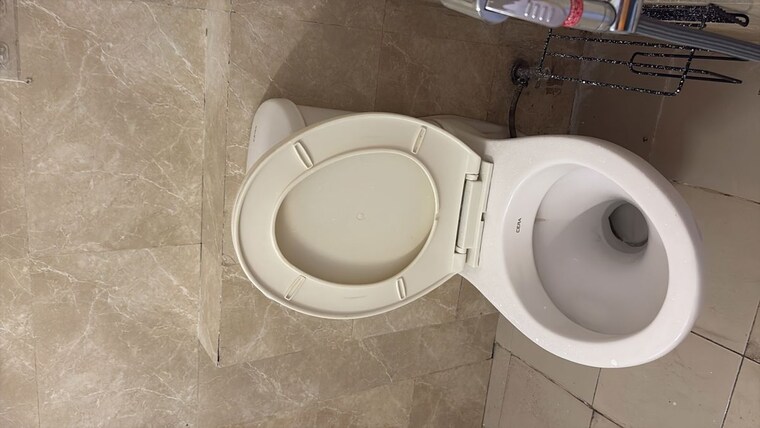 Bathroom, 3c-lotus-panache 4 Bedroom 2800 Sq.Ft. Apartment In Sector 110 Noida 10256198