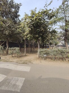 Plot For Sale in Gamma II Greater Noida