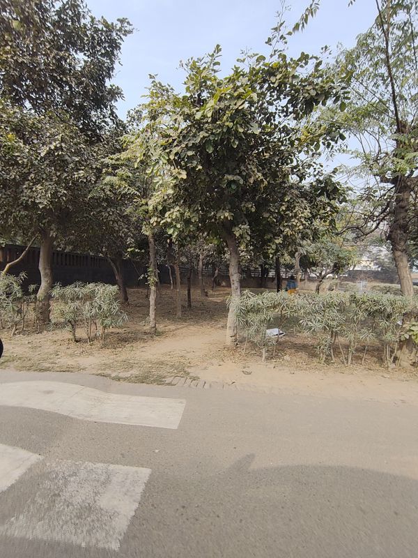 Plot For Sale in Gamma II Greater Noida