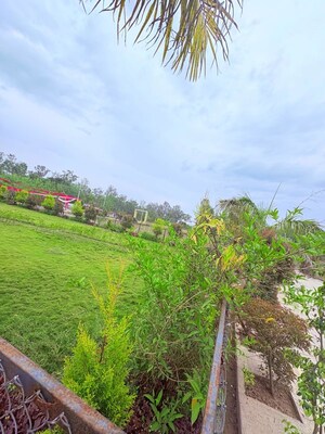  Plot For Sale in Biharigarh