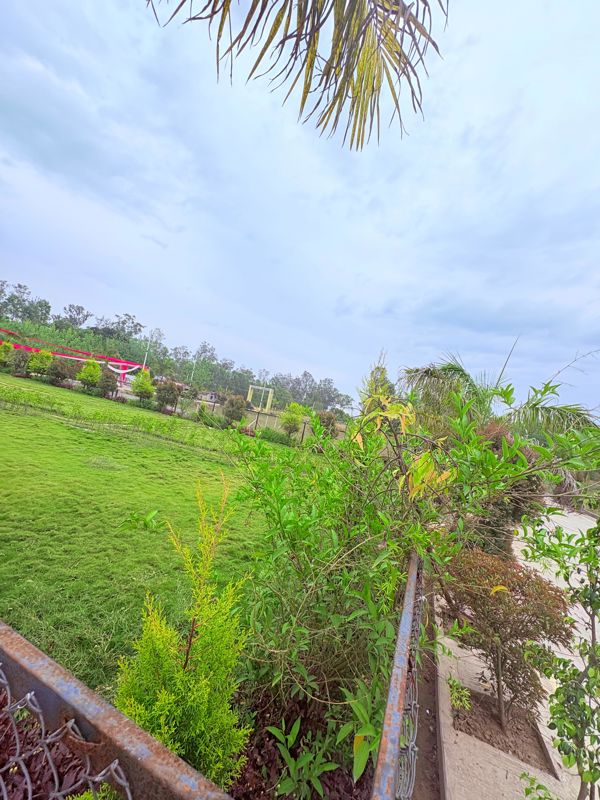 Plot For Sale in Biharigarh