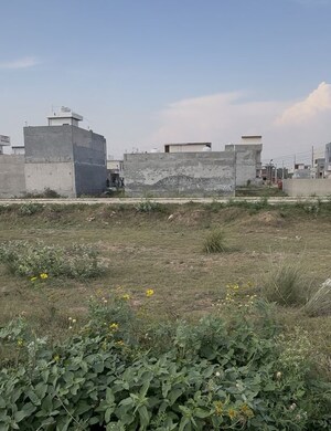 Plot Area in  Plot at Dera Bassi – for Sale