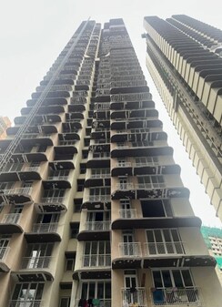 1 BHK Apartment For Rent in Ruparel Sky Green