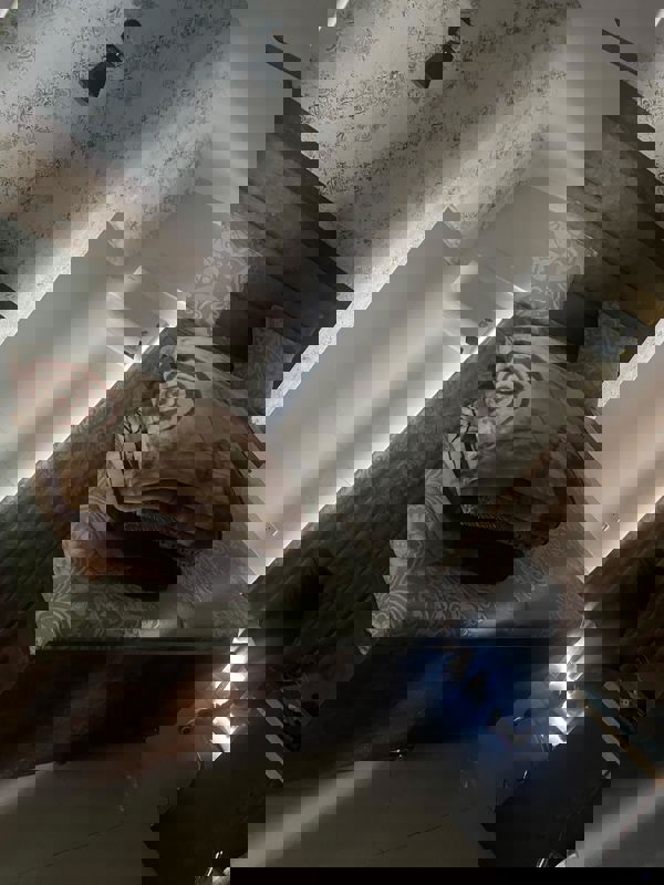 3 BHK 1420 Sq.Ft. Apartment in Artique Uptown Skylla