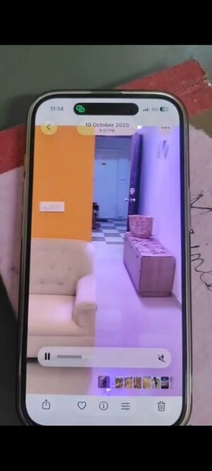 Living Room in 1 BHK Apartment at Shree Vardhman Green Court, Sector 90 – for Rent