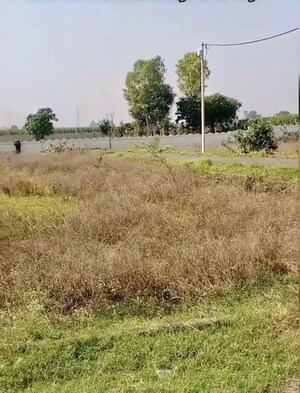 Plot Area in  Plot at Modipuram – for Sale
