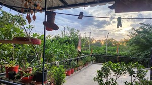 3 BHK Apartment – Garden View at Omaxe Heights, Sector 86 - for Rent