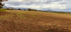 Plot For Sale in Defence City