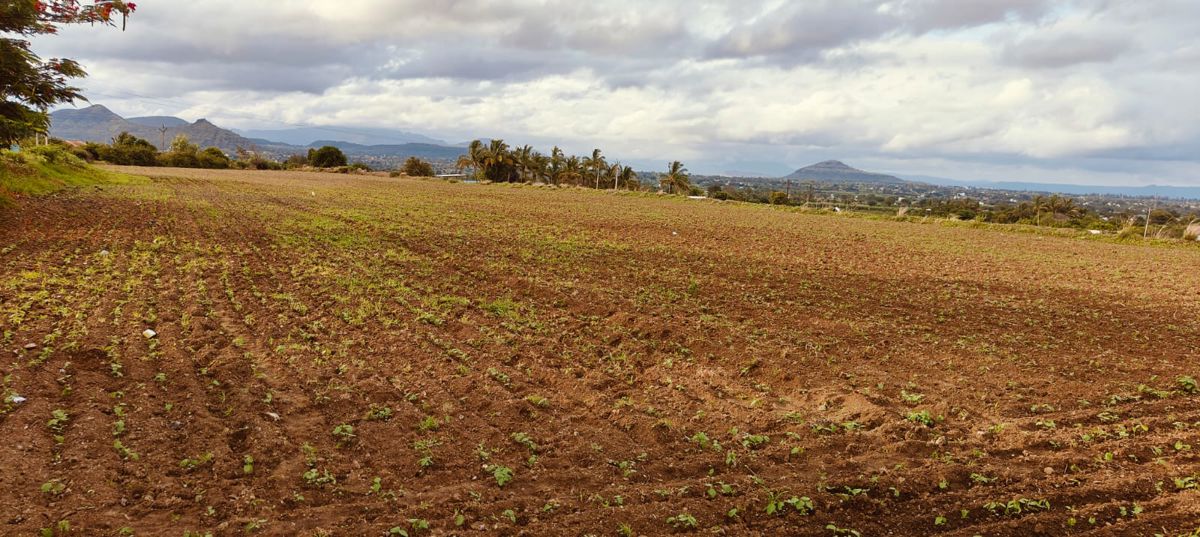 Plot For Sale in Defence City