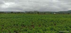  Plot For Sale in Sopan Baug