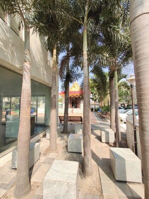 2 BHK Apartment For Sale in Porwal Parklane Premier, Wagholi