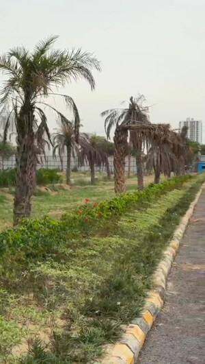Plot Area in 3.5 BHK Apartment at JainX Cyber City, Knowledge Park V Greater Noida – for Sale