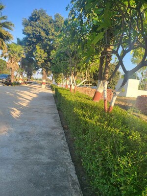  Plot – Garden View at Ranopali - for Sale