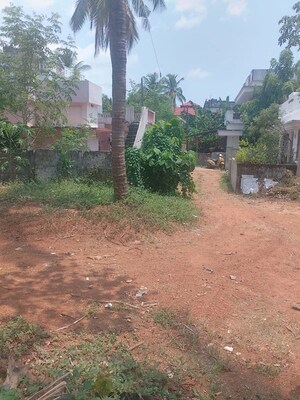Plot Area in  Plot at Ayyanthole – for Sale